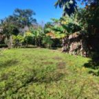 image00